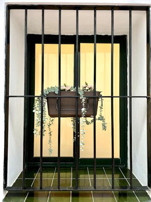 Appartement Auxiliadora Luxury